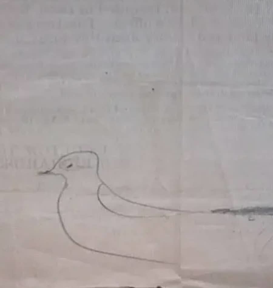 8. Набросок птицы на земельном акте, нарисованный рабочим XIX века, который обнаружил оцифровщик при сканировании земельных актов 1800-х годов