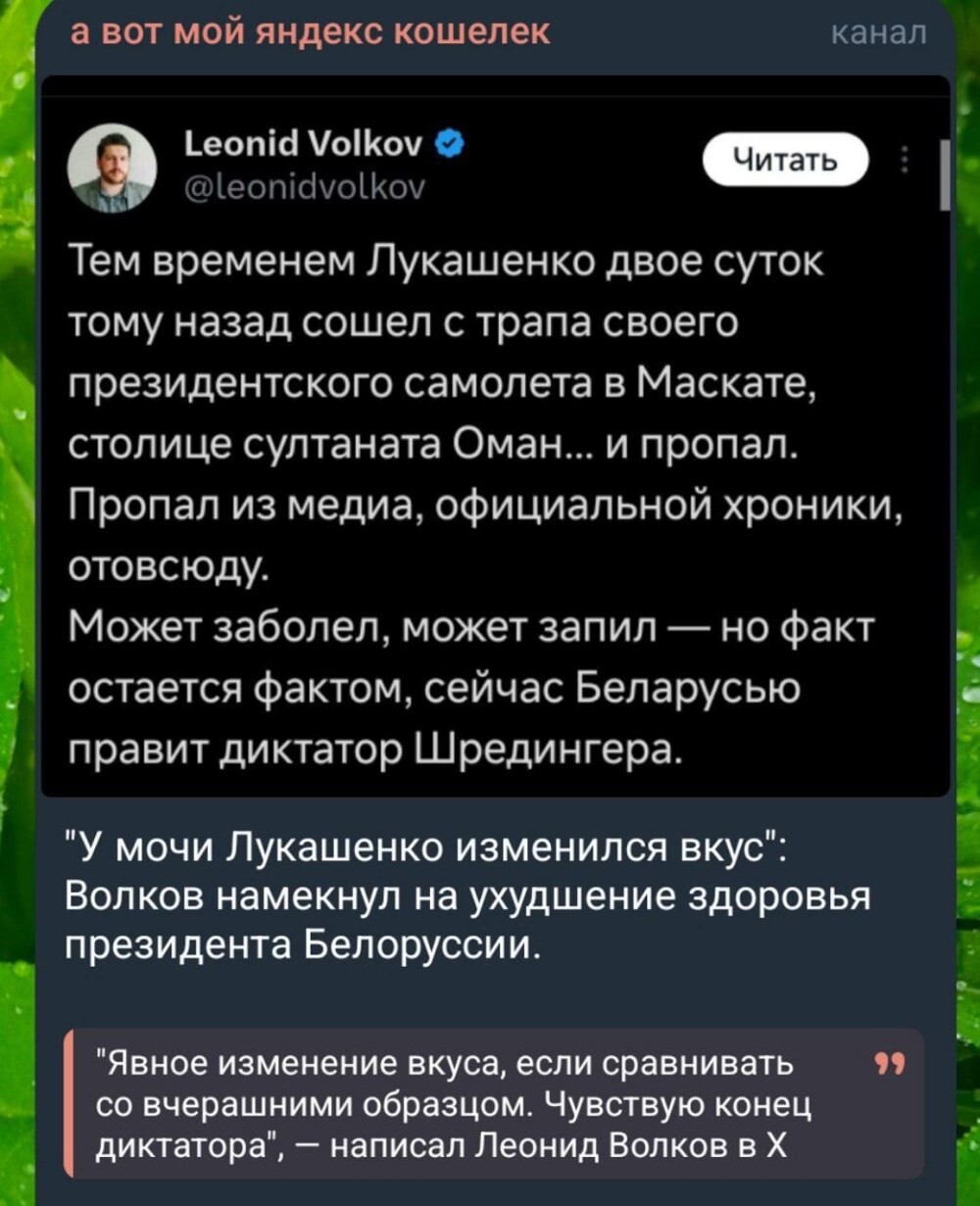 Ждём обратную связь #Яшинмудак анализа по образцу сегодняшнего кала Лукашенко