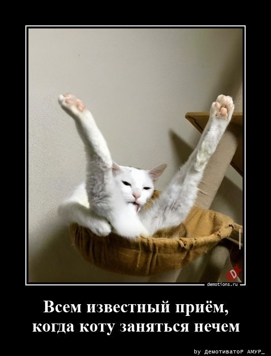 Всем известный приём, когда коту заняться нечем
