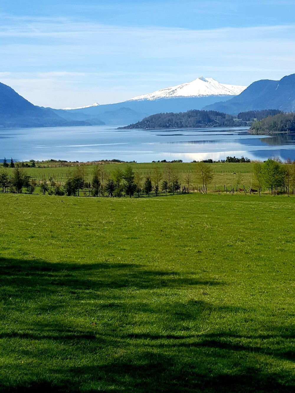 4. Мечта сбылась: у меня есть свой кусочек земли на юге Чили