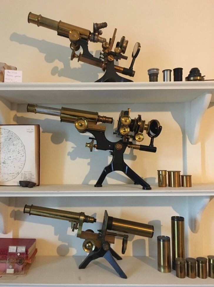 1. Микроскопы начала XX века