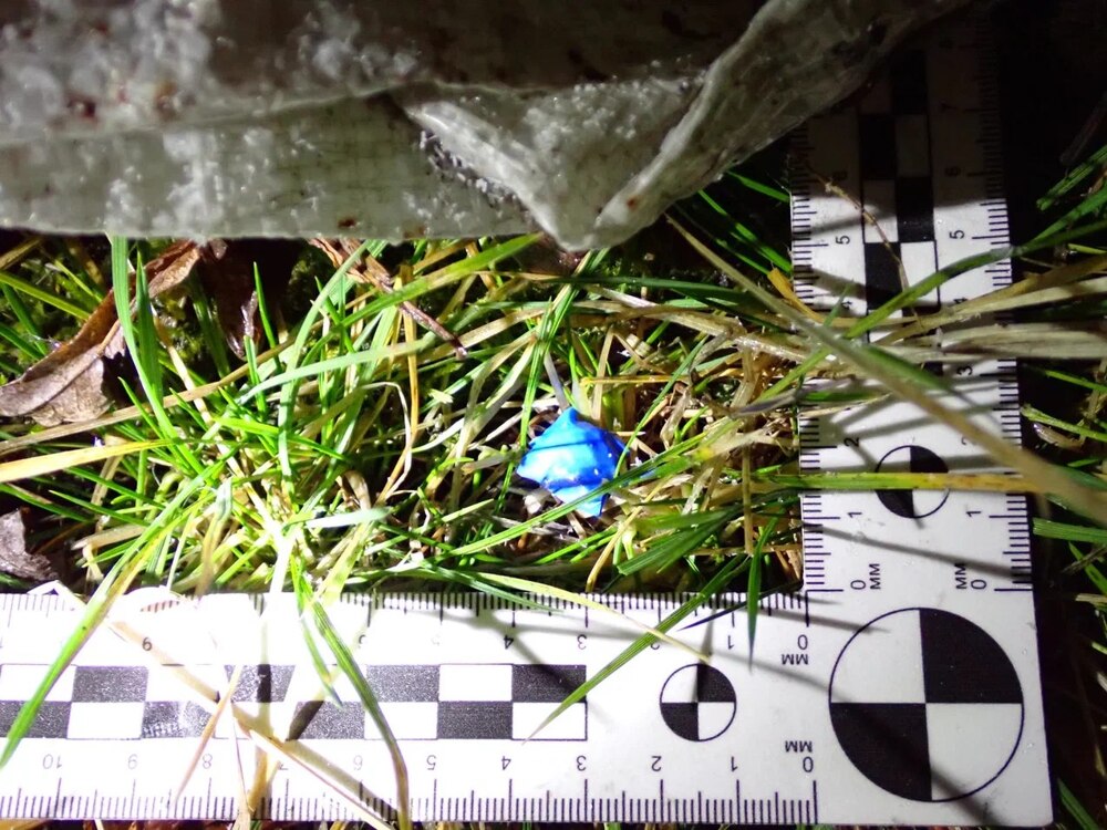 В Свердловской области правоохранители с помощью беспилотника выявили и задержали закладчиков