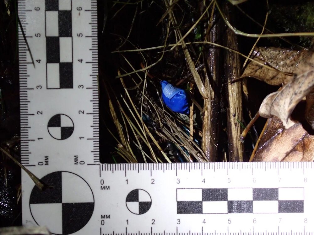 В Свердловской области правоохранители с помощью беспилотника выявили и задержали закладчиков