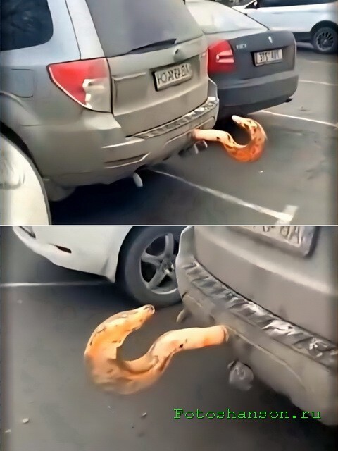 АвтоВсячина