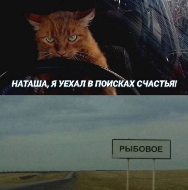 Смешные картинки