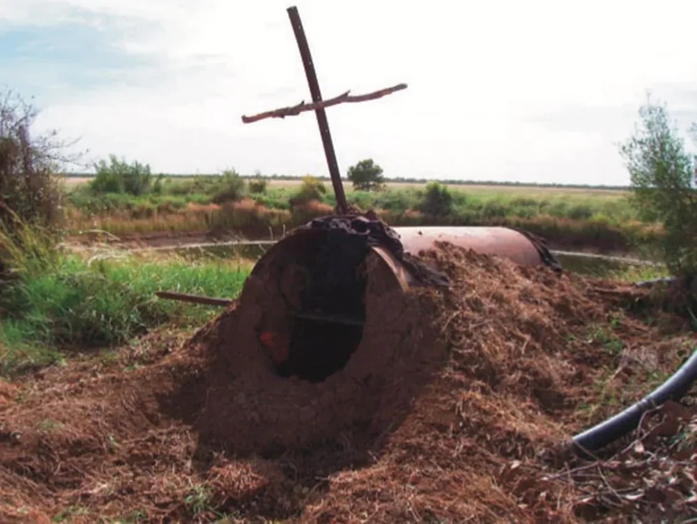 Я проснулся голым в могиле посреди пустыни и 71 день питался пиявками