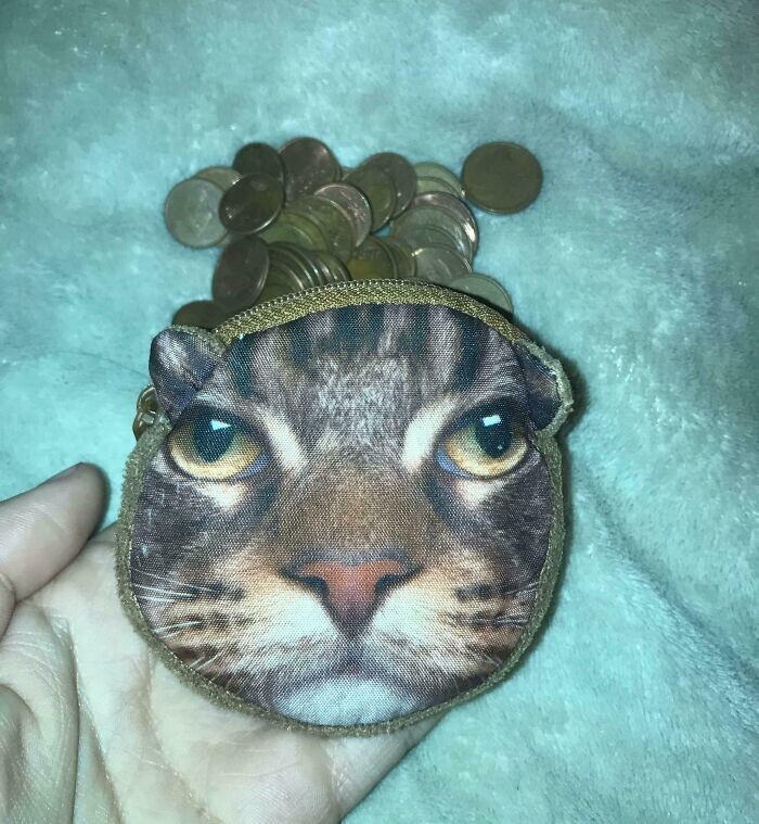 19. Монетница моего парня