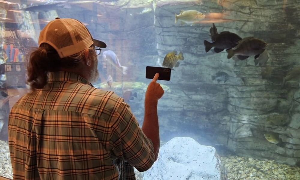 15. Показывает видео рыбкам 