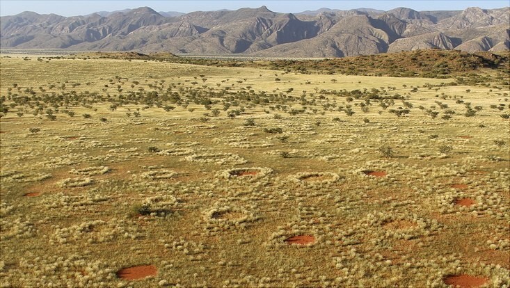 Мистические африканские круги фей и неоднозначная научная разгадка их появления