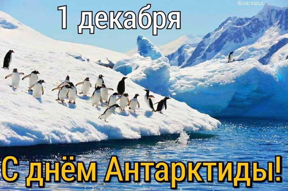 "Это не материк": Юрий Лоза рассказал о том, чем на самом деле является Антарктида