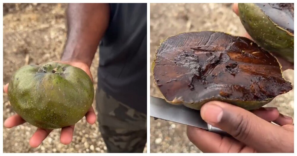 Чёрная сапота — фрукт, который называют «шоколадным пудингом»