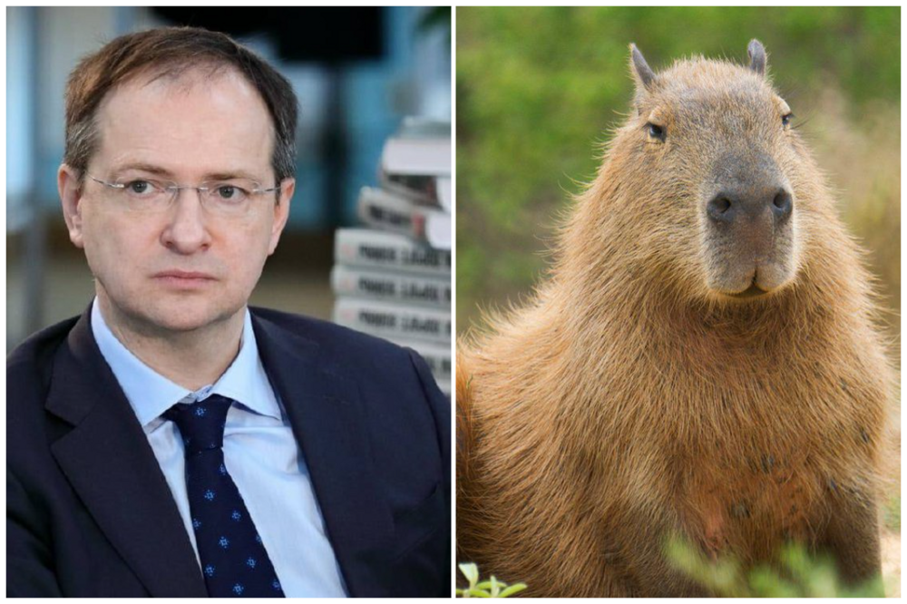 Помощник президента Мединский признался, что долго считал капибару выдуманным животным