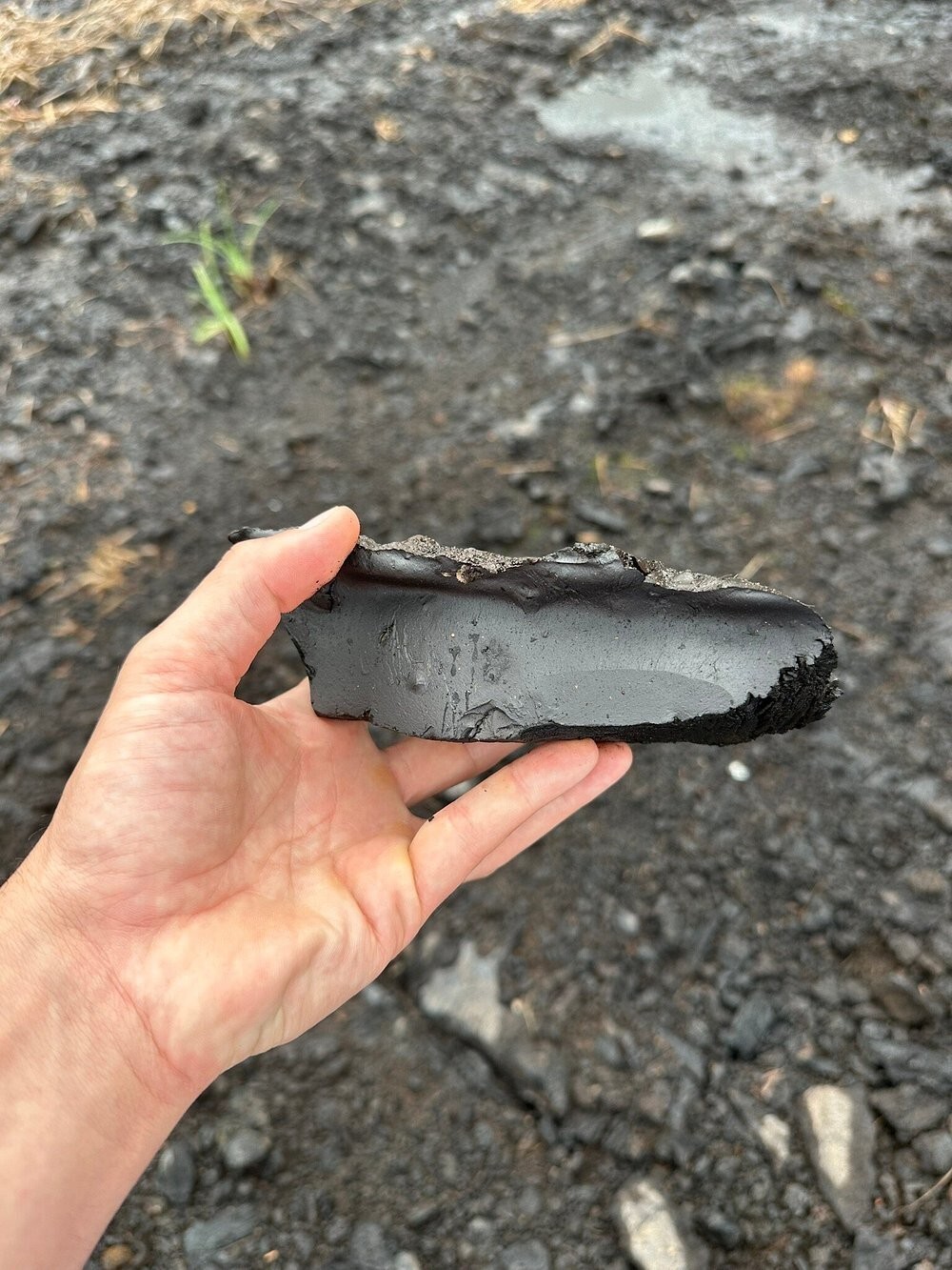 Озеро Пич-Лейк – место-феномен, где земля перестала быть твёрдой