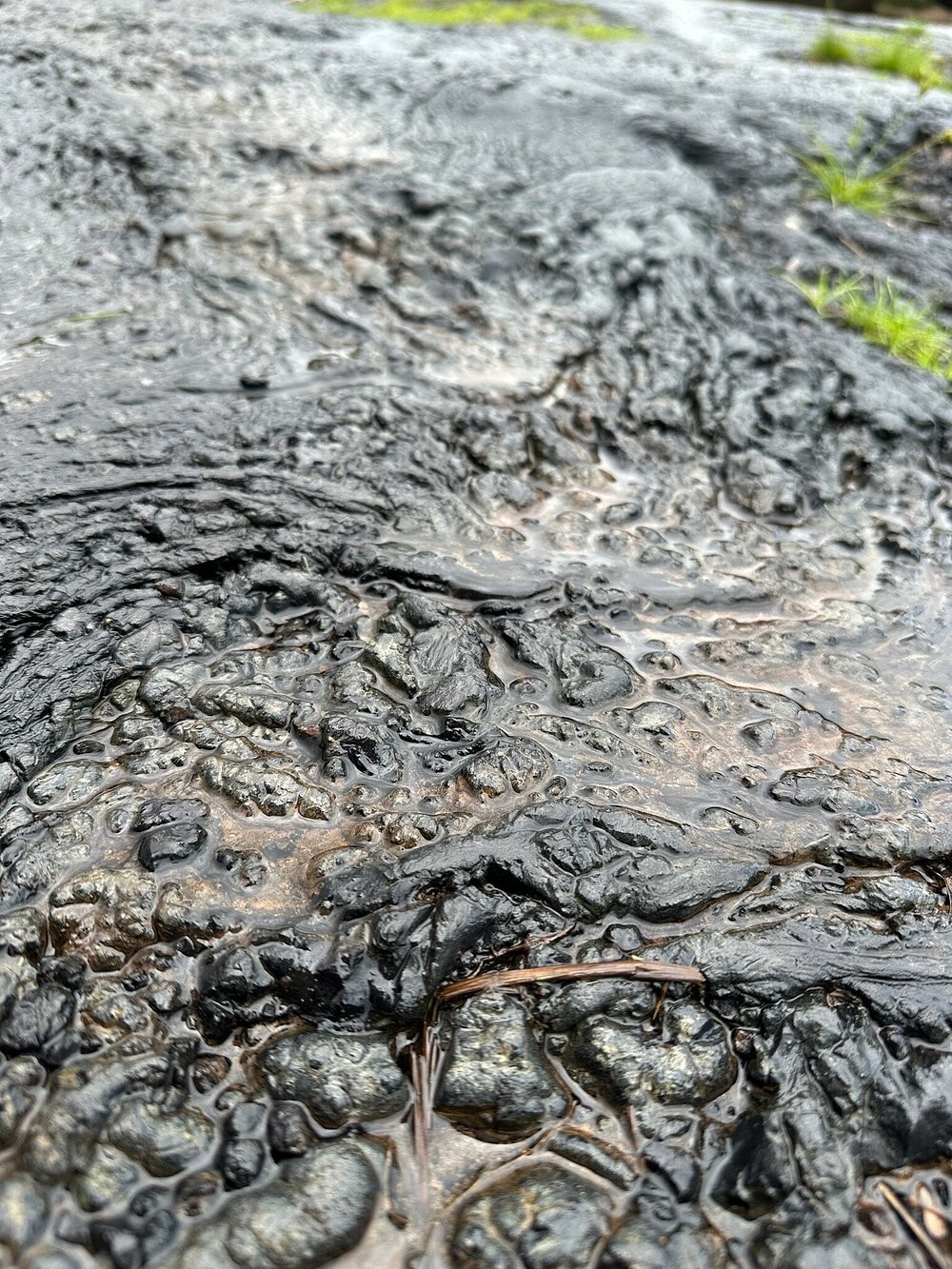 Озеро Пич-Лейк – место-феномен, где земля перестала быть твёрдой