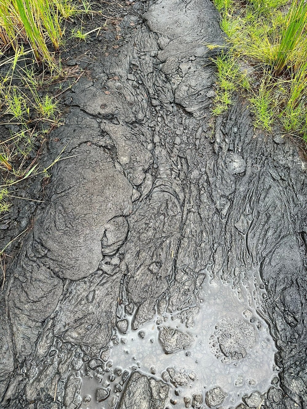 Озеро Пич-Лейк – место-феномен, где земля перестала быть твёрдой