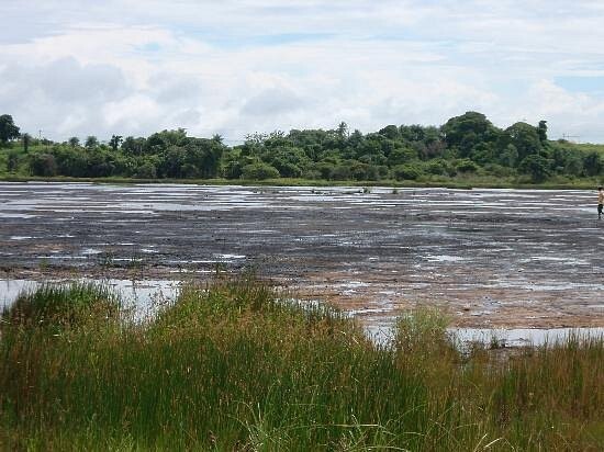 Озеро Пич-Лейк – место-феномен, где земля перестала быть твёрдой