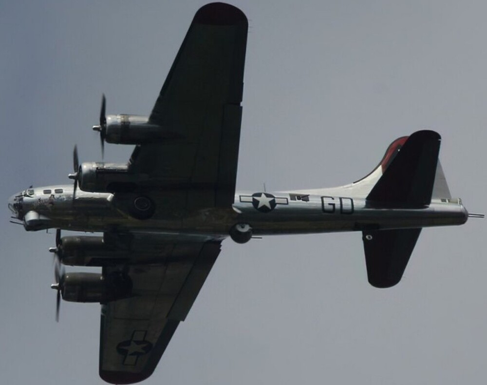 20+ настолько невероятных фактов, в которые трудно поверить, но они абсолютно реальны!