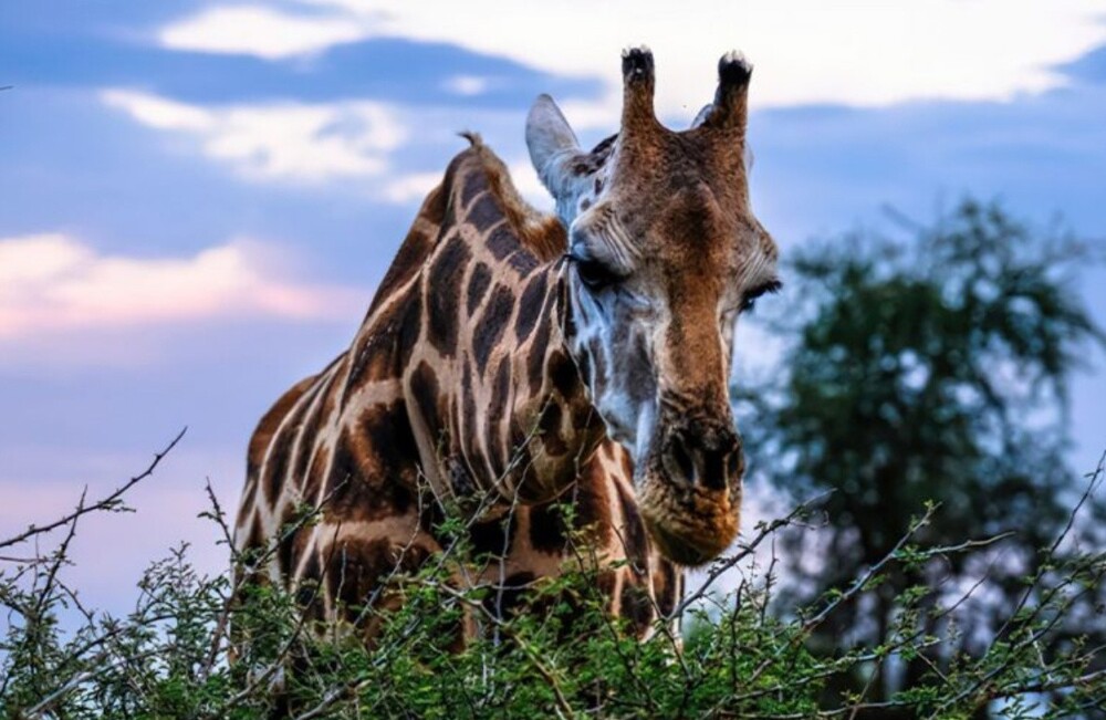20+ настолько невероятных фактов, в которые трудно поверить, но они абсолютно реальны!