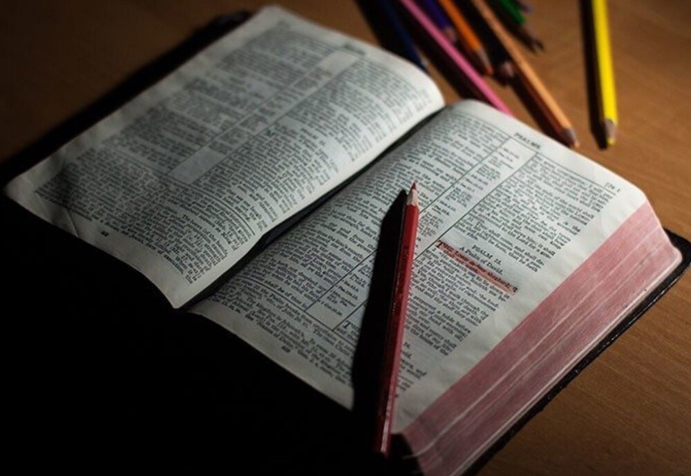 20+ настолько невероятных фактов, в которые трудно поверить, но они абсолютно реальны!