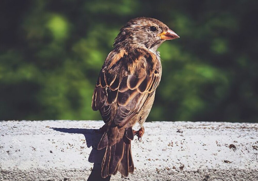 20+ настолько невероятных фактов, в которые трудно поверить, но они абсолютно реальны!