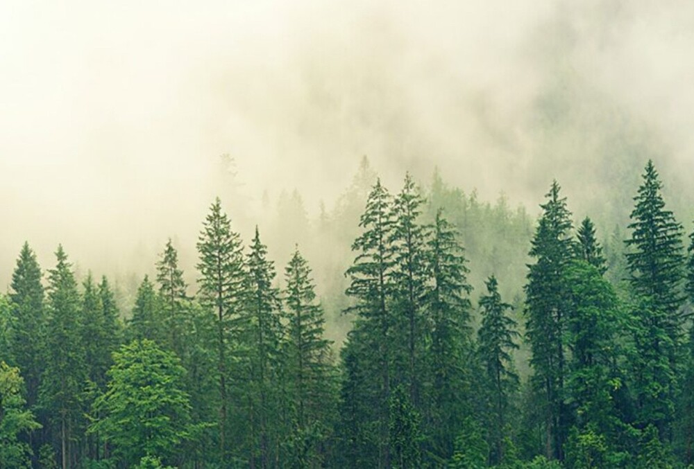 20+ настолько невероятных фактов, в которые трудно поверить, но они абсолютно реальны!