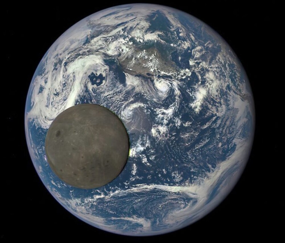 20+ настолько невероятных фактов, в которые трудно поверить, но они абсолютно реальны!