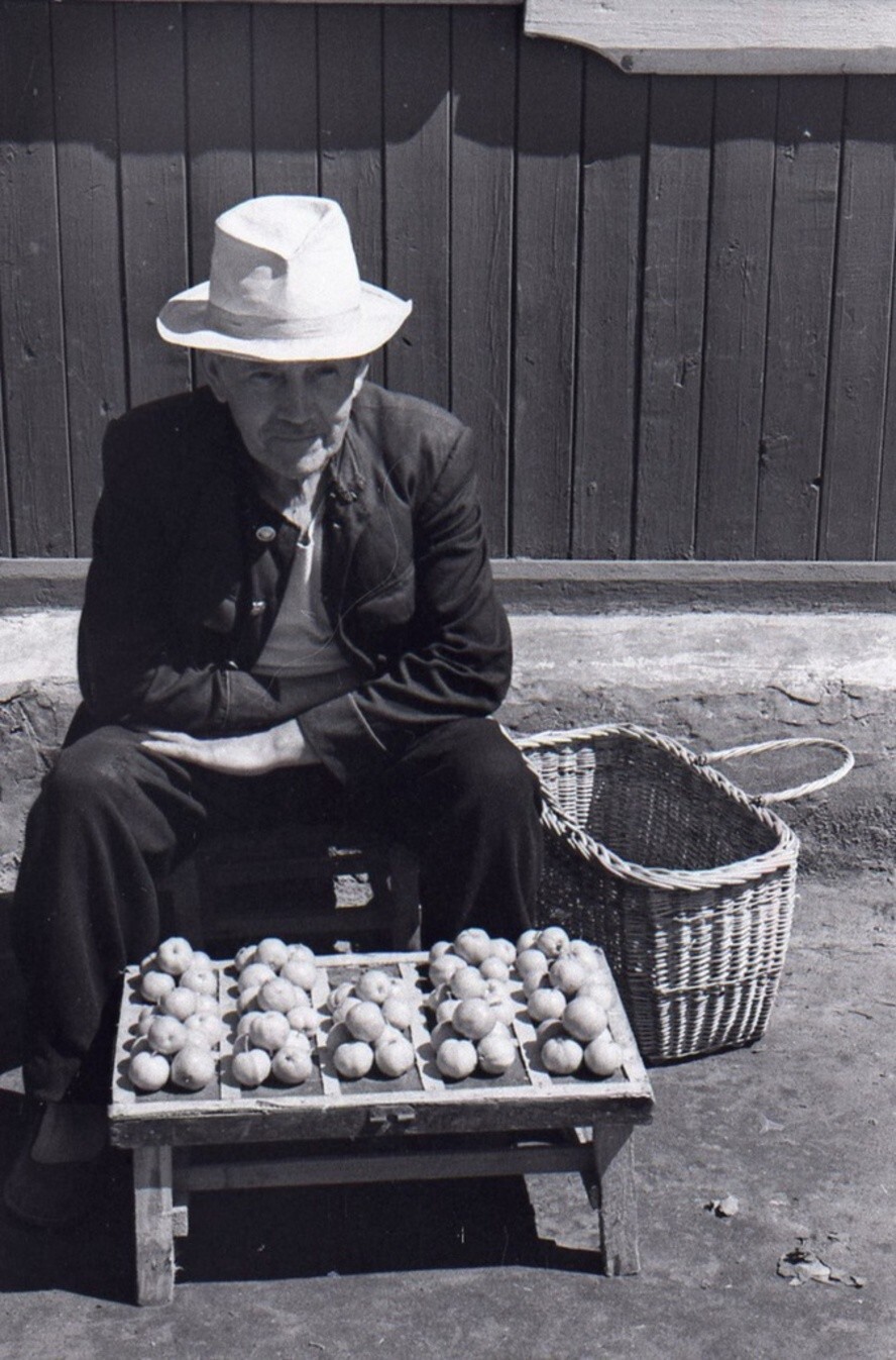 Сельский пенсионер продает яблочки. 15 августа 1962 года. Московская область, Воскресенский район, село Конобеево.