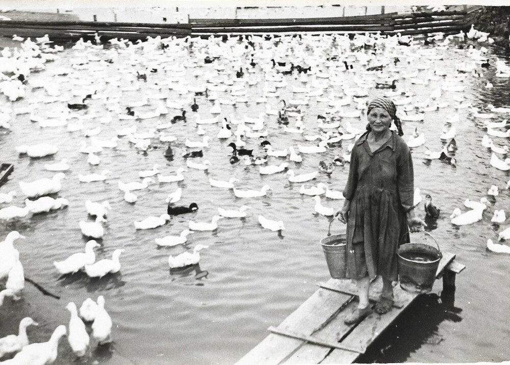 «Отнесу птичкам водички». Июнь – июль 1960 года.