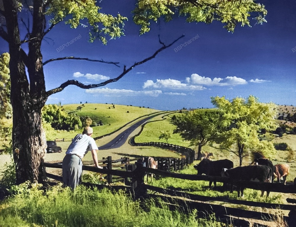 Подборка интересных и необычных фотографий из США