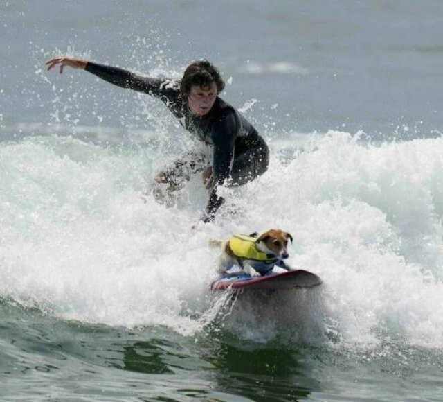 Намешалось 