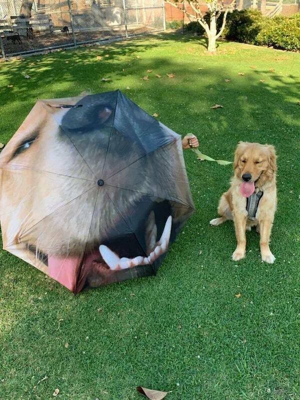 Намешалось 