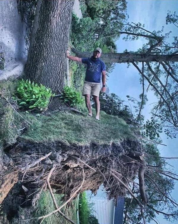 Намешалось 