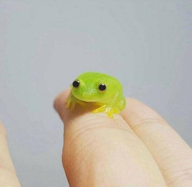 Намешалось 