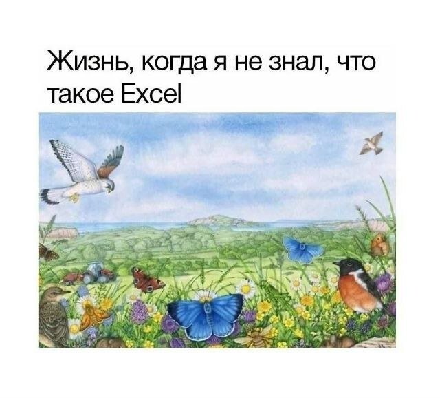  Скрины из соцсетей