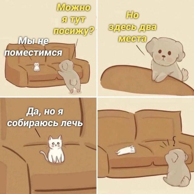  Скрины из соцсетей