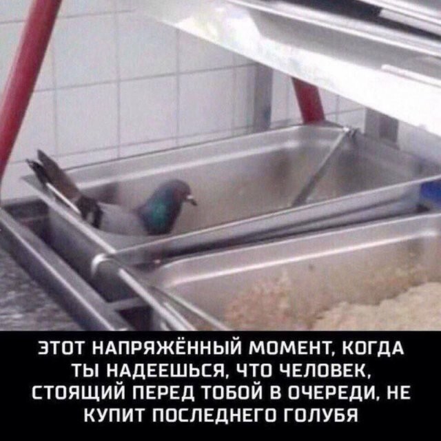  Скрины из соцсетей