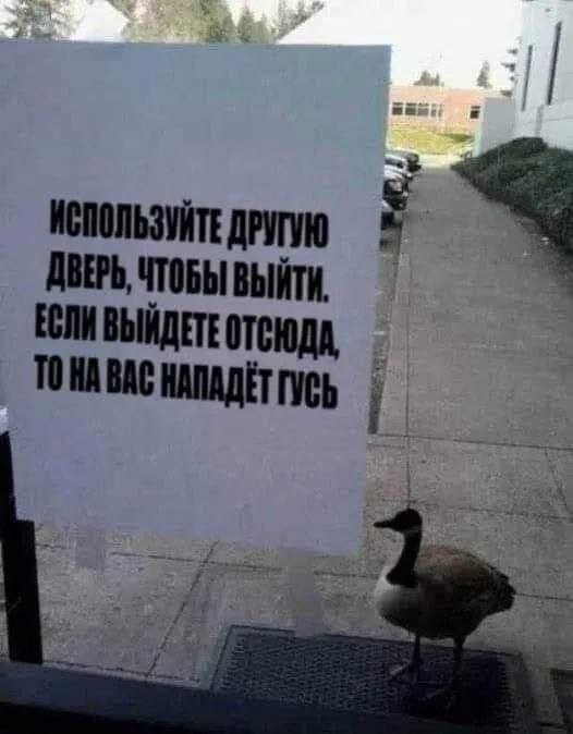  Скрины из соцсетей