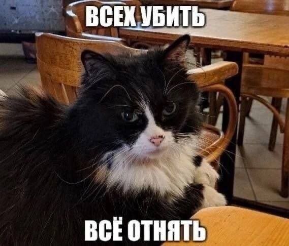  Скрины из соцсетей