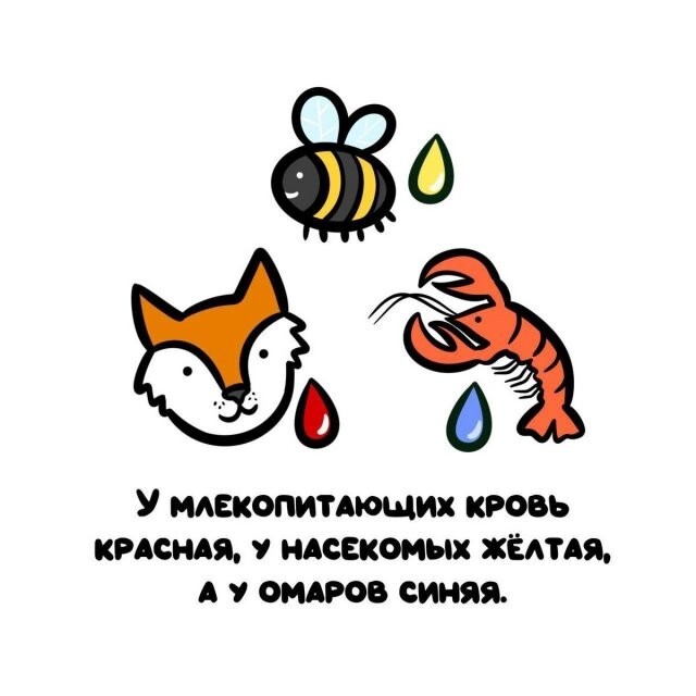 А вдруг ты не знал…