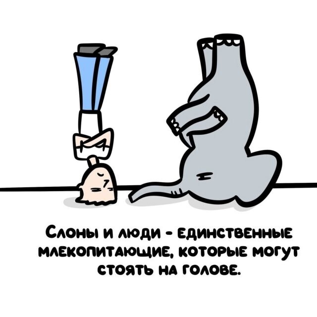 А вдруг ты не знал…