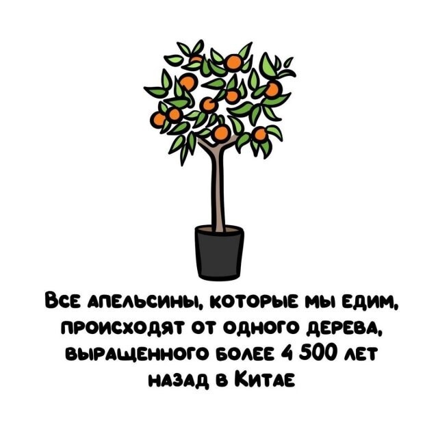 А вдруг ты не знал…