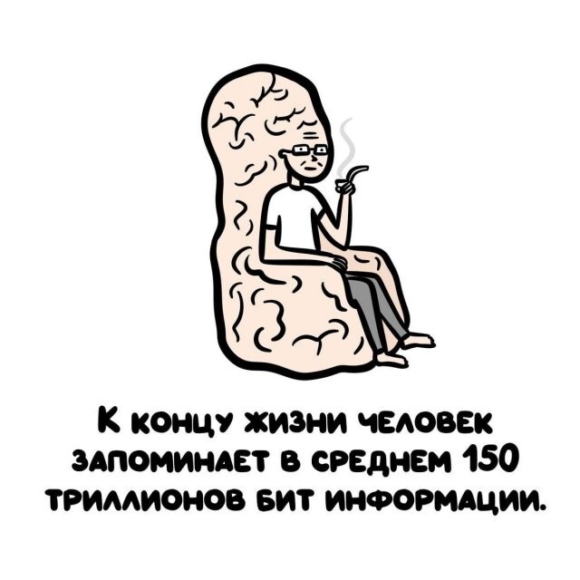 А вдруг ты не знал…