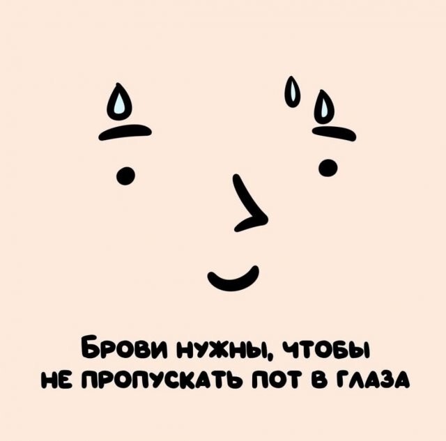 А вдруг ты не знал…