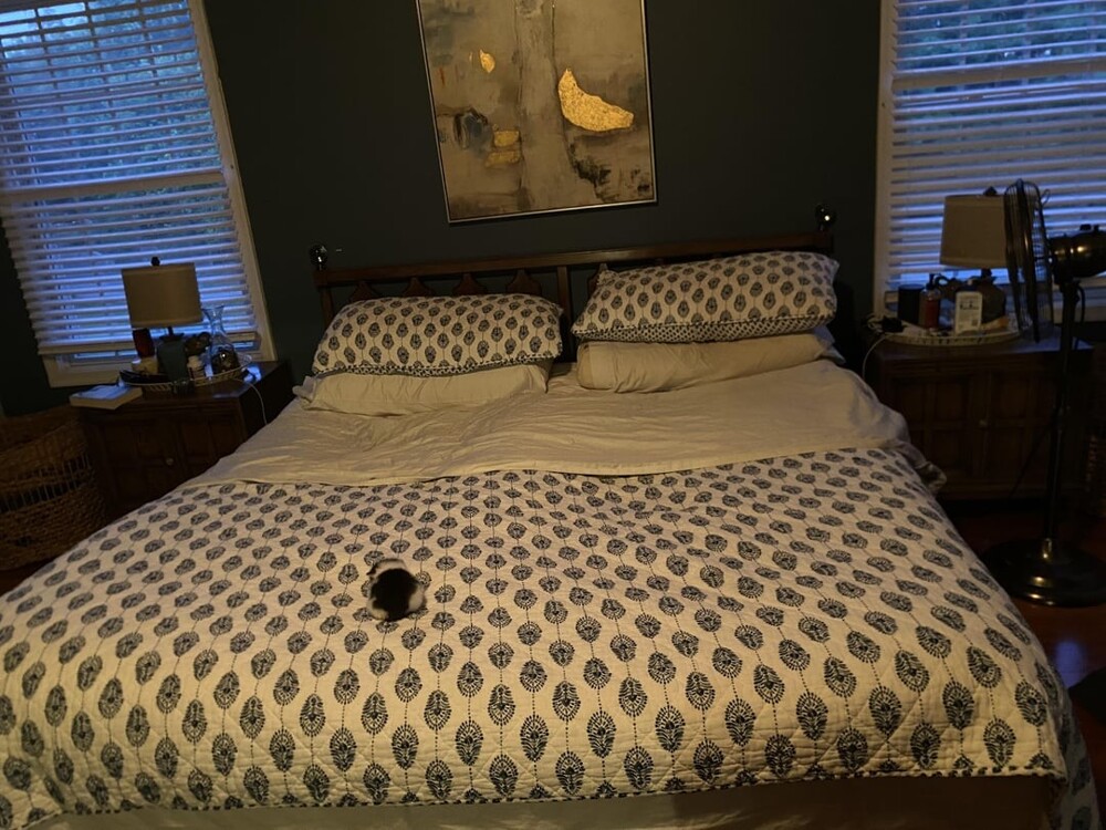 10. Новый хозяин кровати