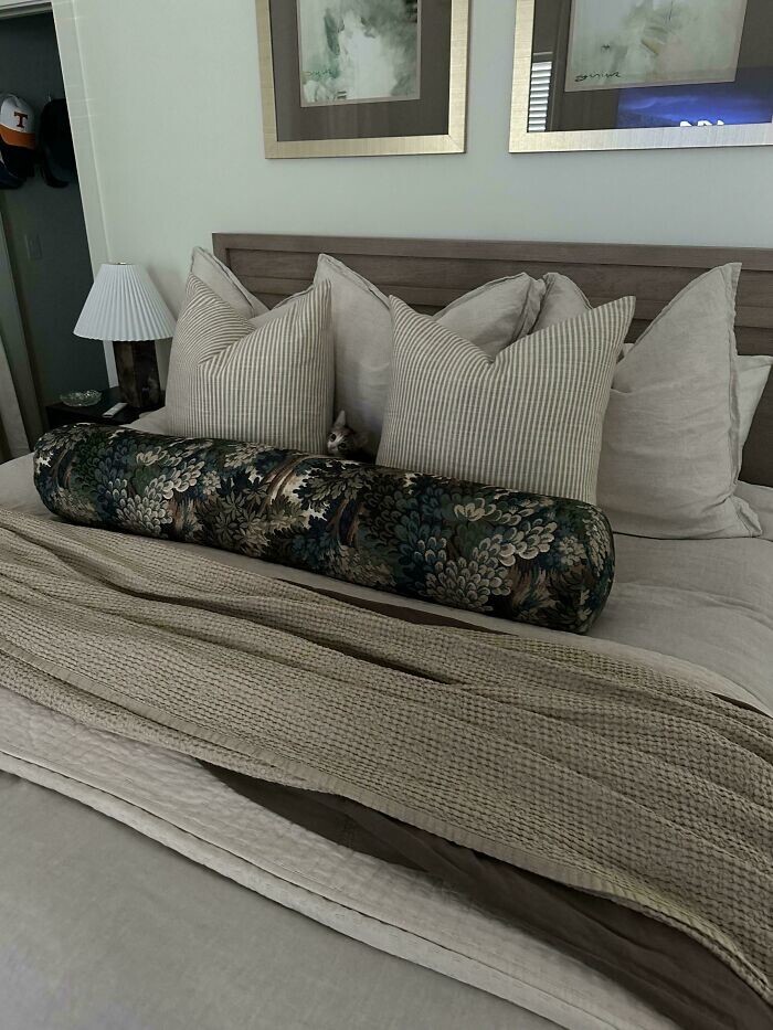 21. Найдите котёнка