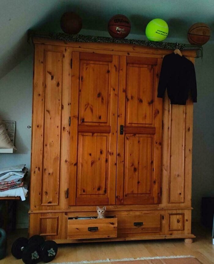 2. Посмотрите на моего рыжика 