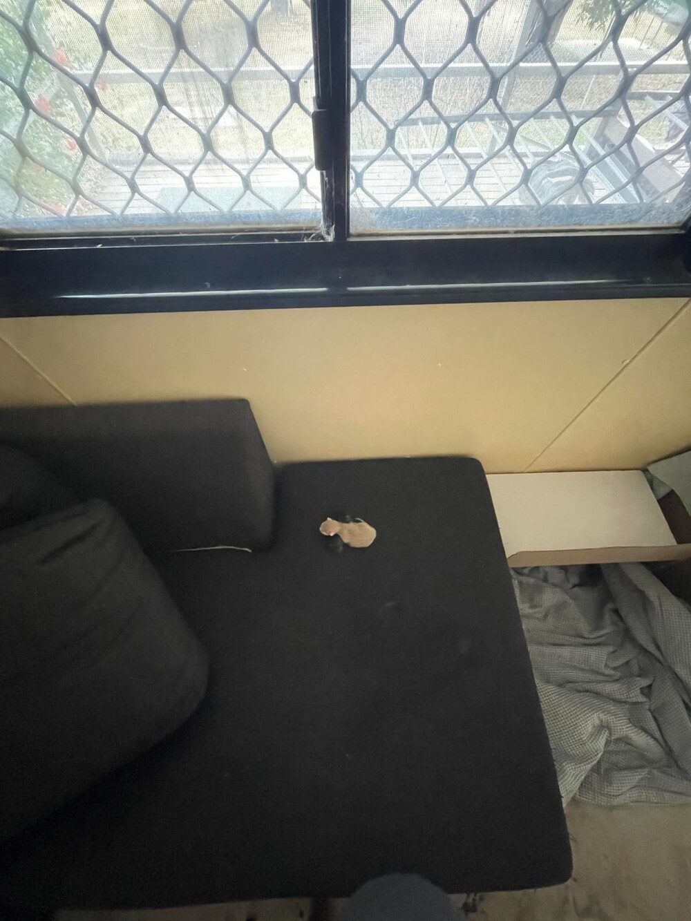 9. Спящие крохи 