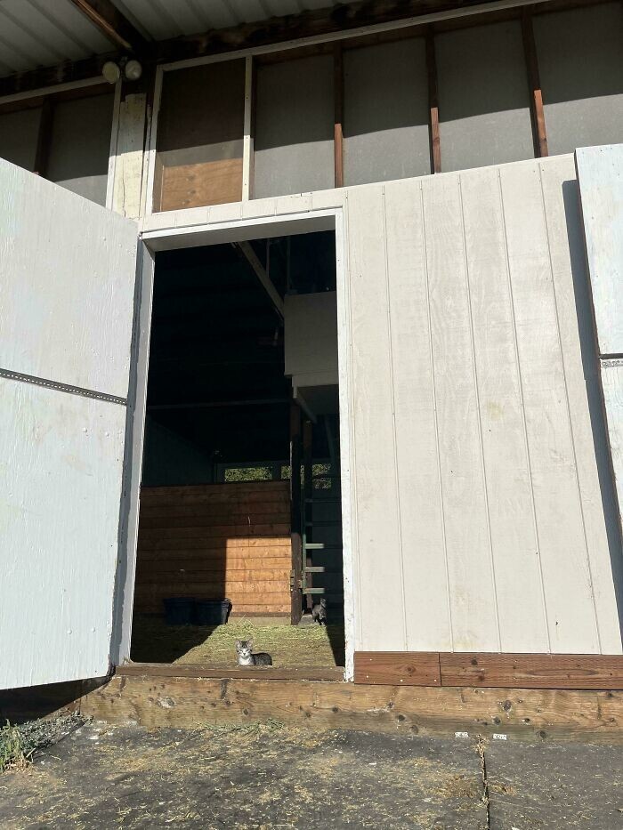 19. Брюс, хозяин амбара 