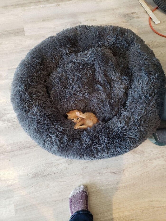 6. Нашёл своё место