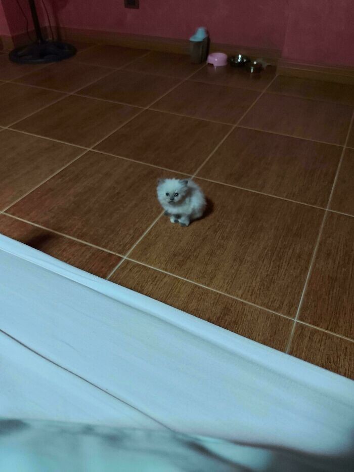 29. Кто расстроил малыша?